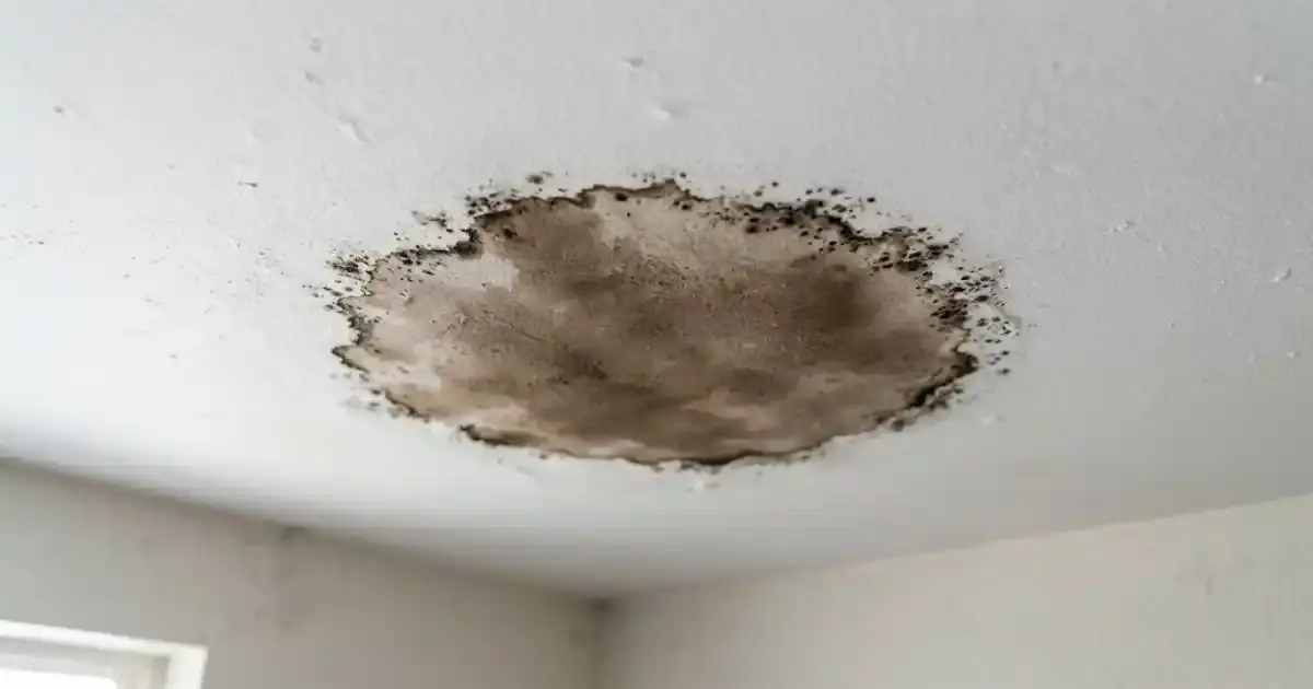 Water damage and mold on a ceiling in a West Valley City home